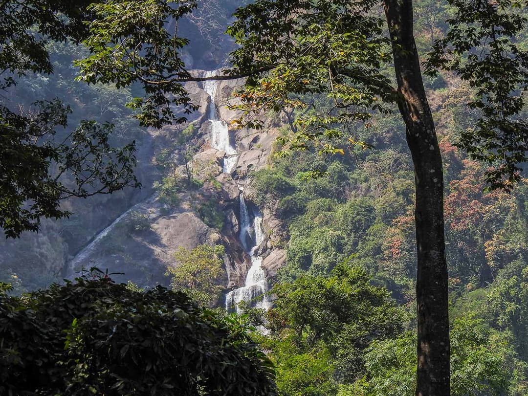 Kovai Kutralam Water Falls cascading down rocks